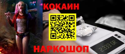 стаф Можга