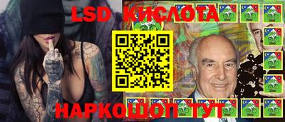 стаф Можга