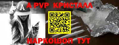 стаф Можга