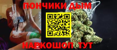 стаф Можга