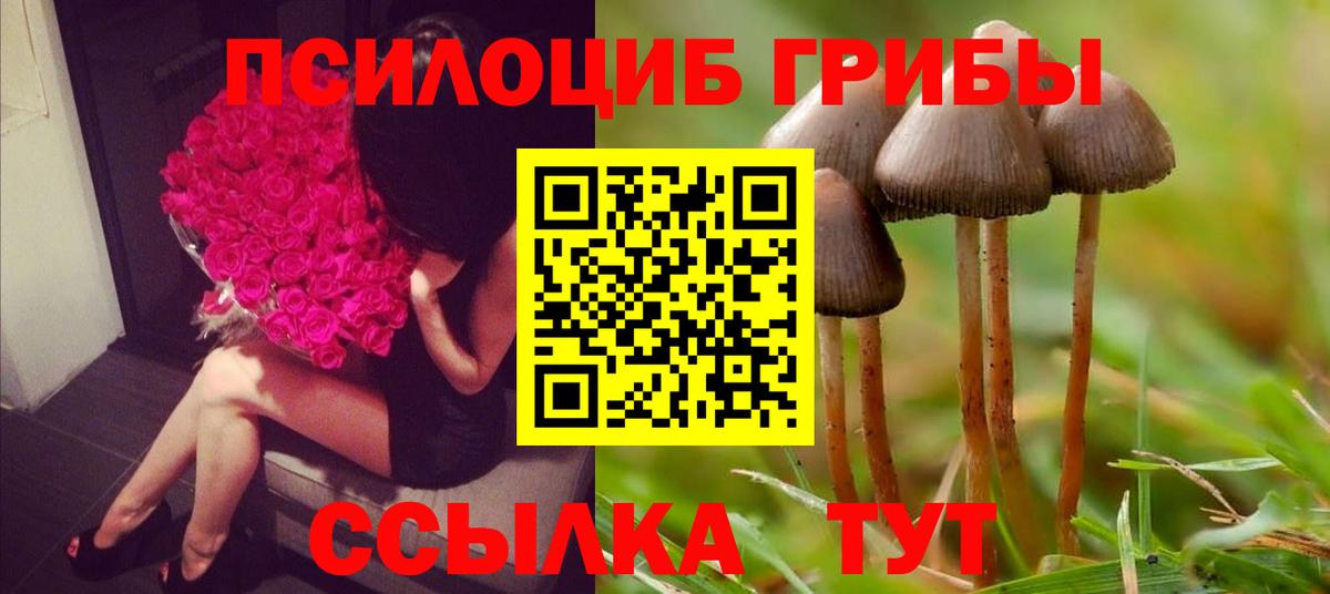 магазин продажи   Вход с VPN  Шарыпово  Псилоцибиновые грибы GOLDEN TEACHER 